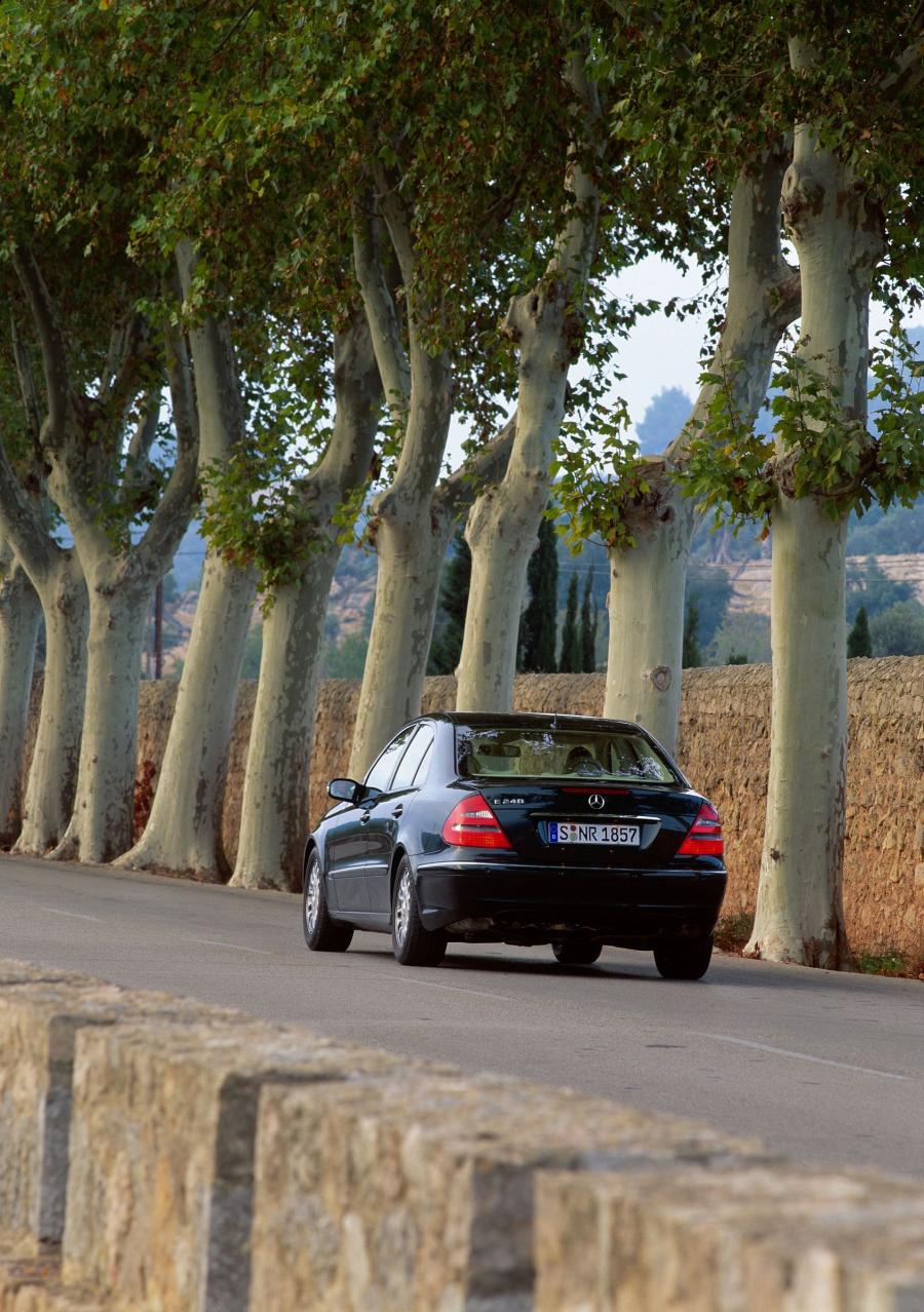  Mercedes-Benz E-Class 2002 года  (фото 342 из 448)